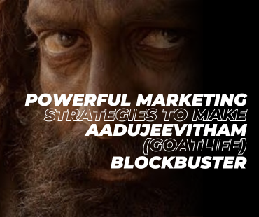 certified digital marketing courses in calicut